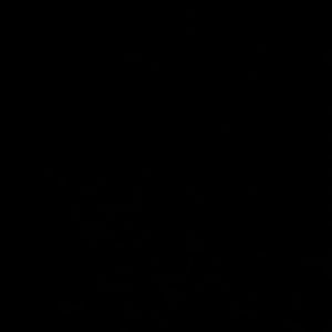 Meet your Posher, Hunter